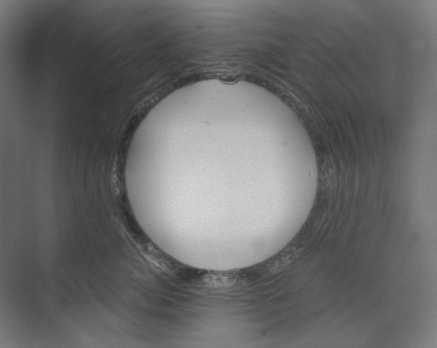 X0000073490764200608281615