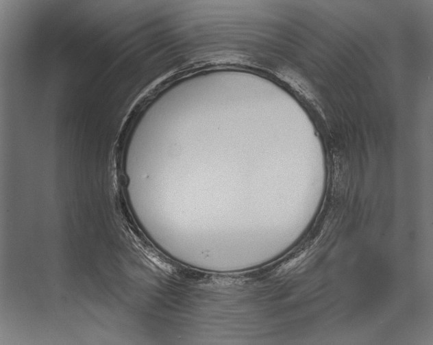 X0000073490782200608281614
