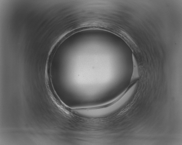X0000073490788200608281614