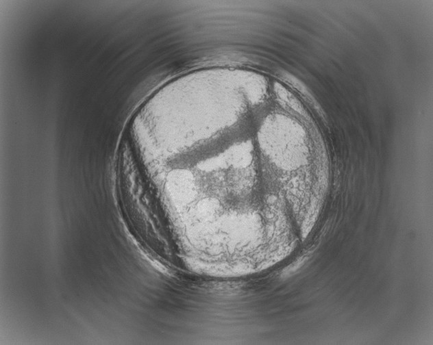 X0000073490802200608281614
