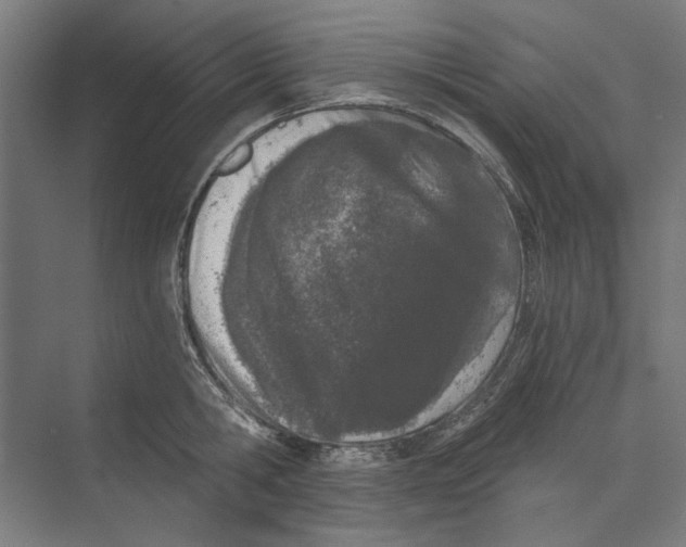 X0000073490806200608281614