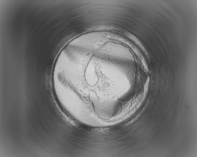 X0000073490810200608281614