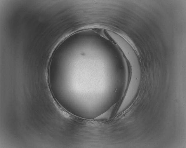 X0000073490813200608281614