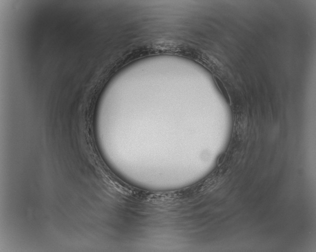 X0000073490817200608281613
