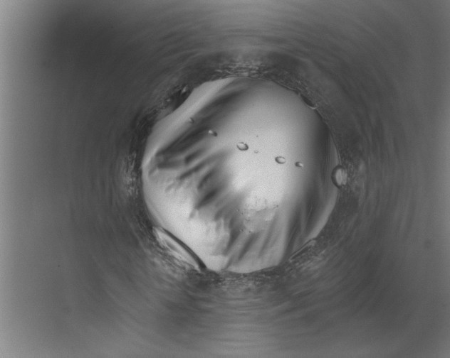 X0000073490818200608281613