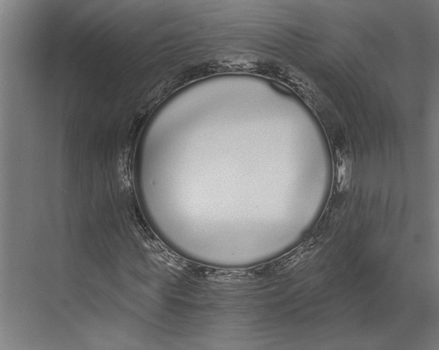 X0000073490819200608281613