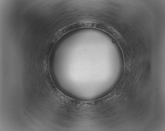 X0000073490821200608281613