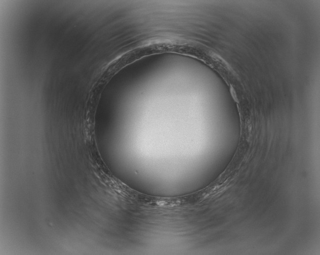 X0000073490822200608281613