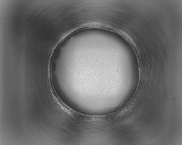X0000073490839200608281613