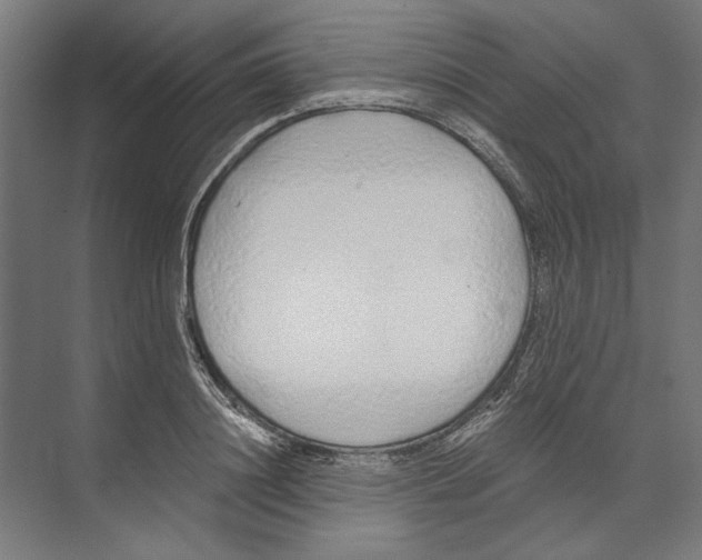 X0000073490844200608281613