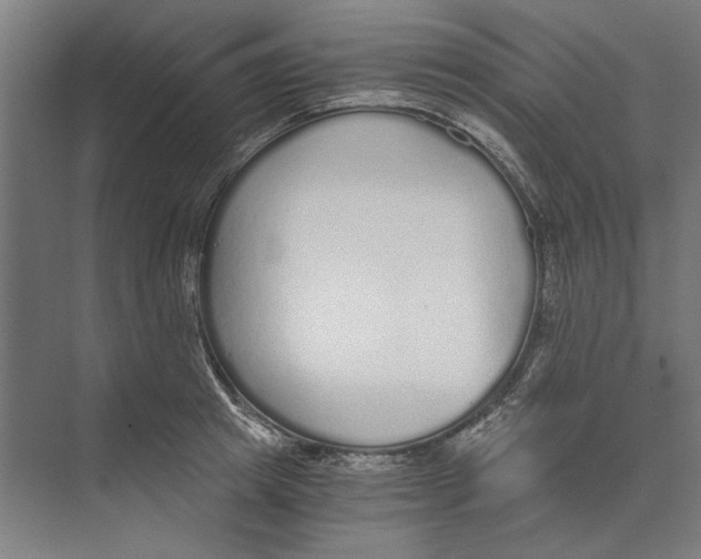 X0000073490849200608281613