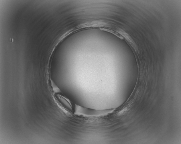 X0000073490850200608281613