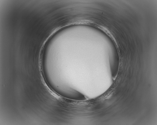 X0000073490851200608281613