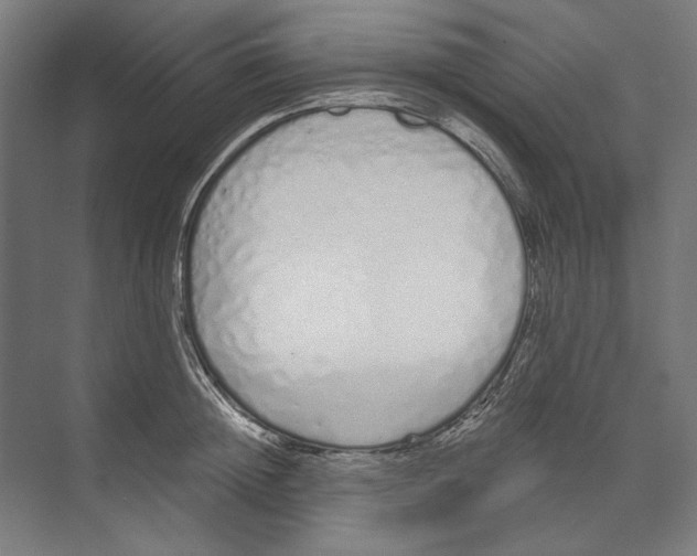 X0000073490852200608281613