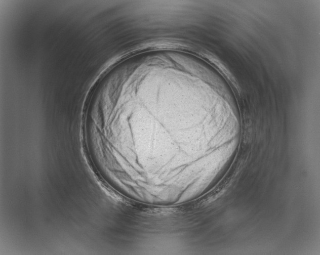 X0000073490853200608281613