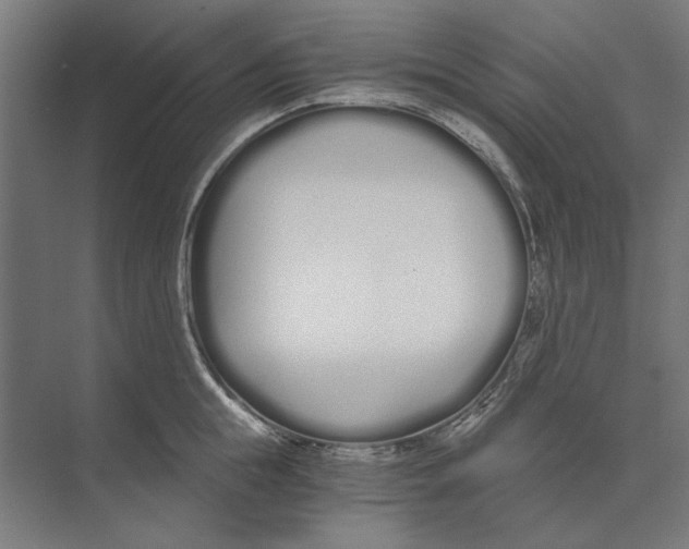 X0000073490855200608281613