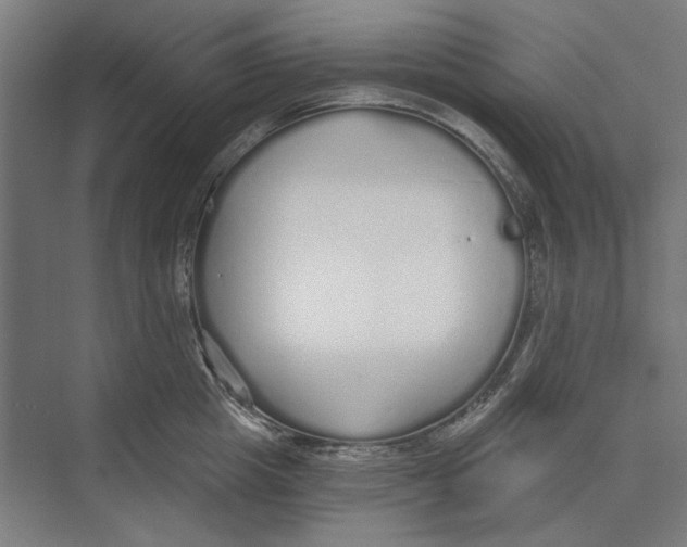X0000073490857200608281613