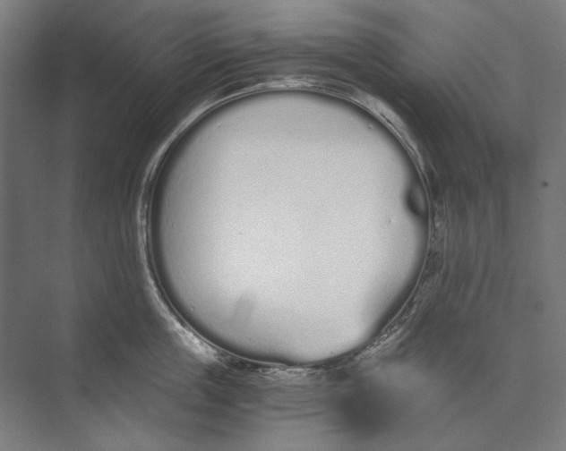 X0000073490859200608281613