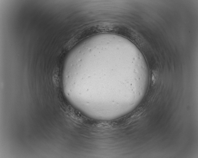 X0000073490867200608281613