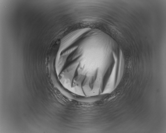 X0000073490868200608281613