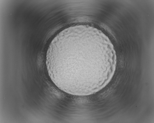 X0000073490874200608281613