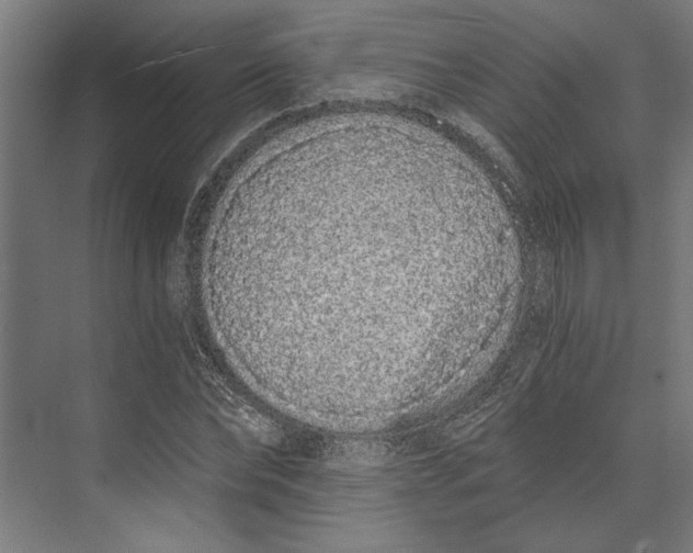 X0000073490878200608281613