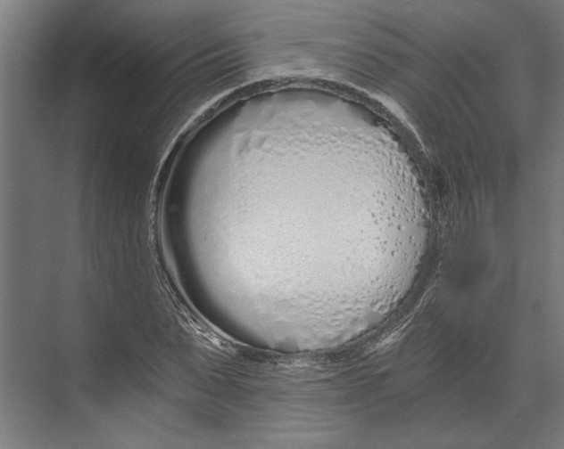 X0000073490879200608281613