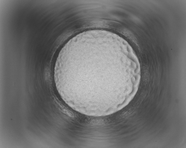 X0000073490882200608281612
