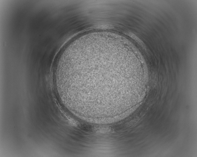 X0000073490886200608281612