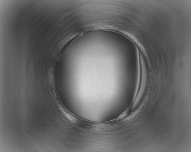X0000073490897200608281612