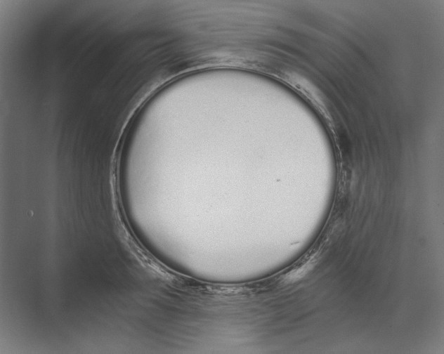 X0000073490899200608281612
