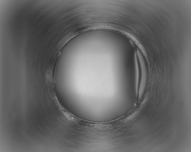 X0000073490905200608281612