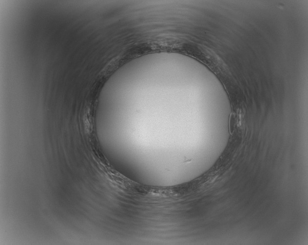 X0000073490915200608281611