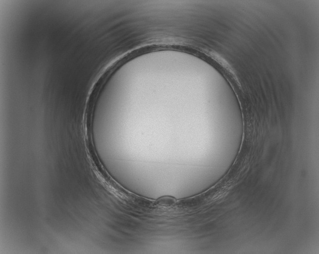 X0000073490935200608281612