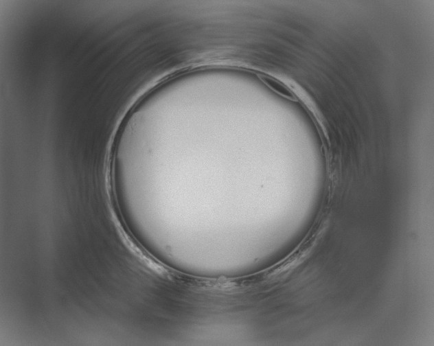 X0000073490957200608281612