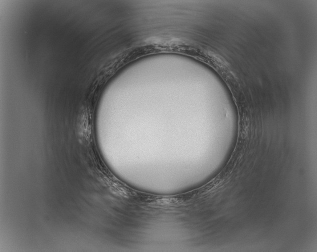 X0000073490966200608281611
