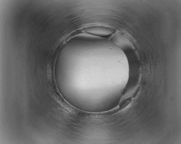 X0000073490969200608281611