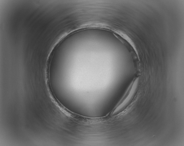 X0000073490997200608281611