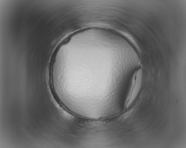 X0000073490999200608281611