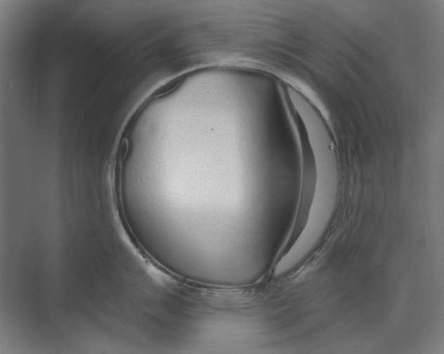 X0000073491007200608281610