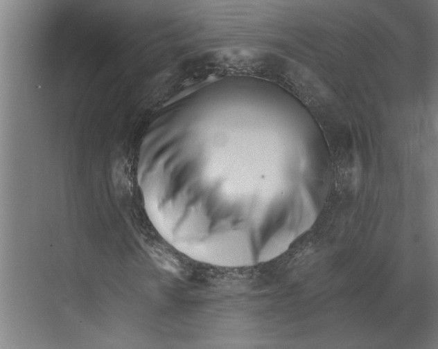 X0000073491010200608281610