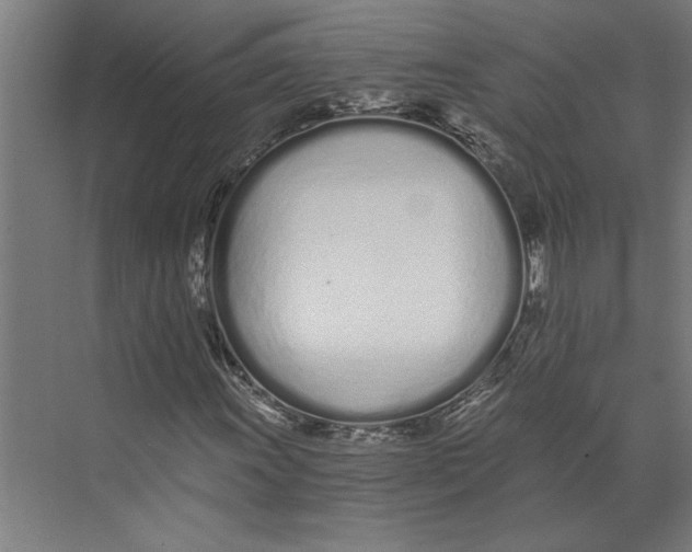 X0000073491011200608281610