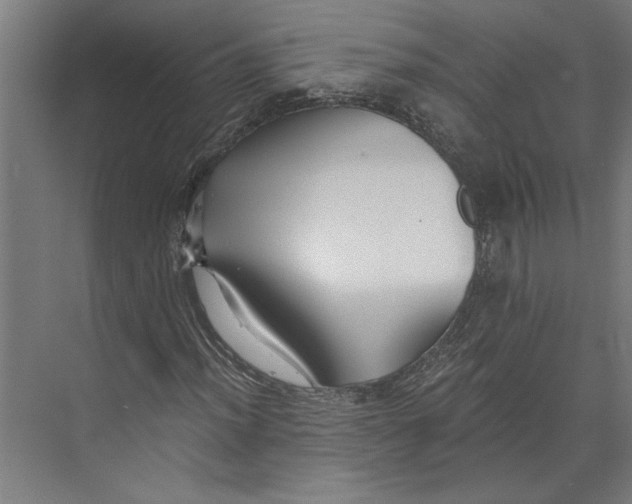 X0000073491012200608281610