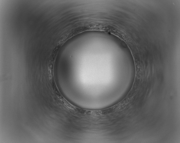 X0000073491013200608281610