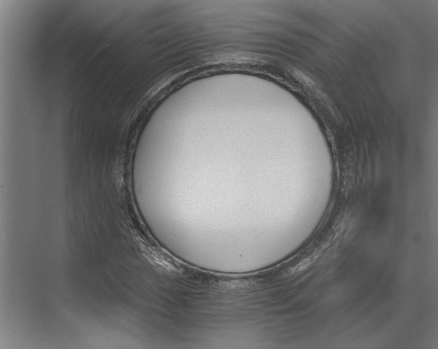 X0000073491017200608281610