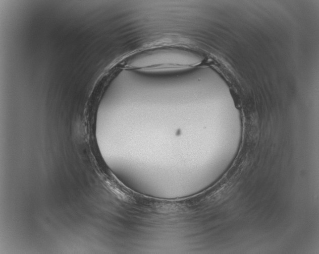 X0000073491018200608281610