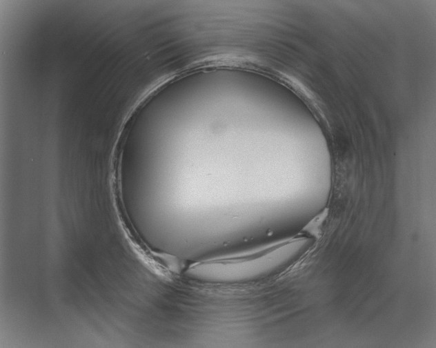 X0000073491042200608281610