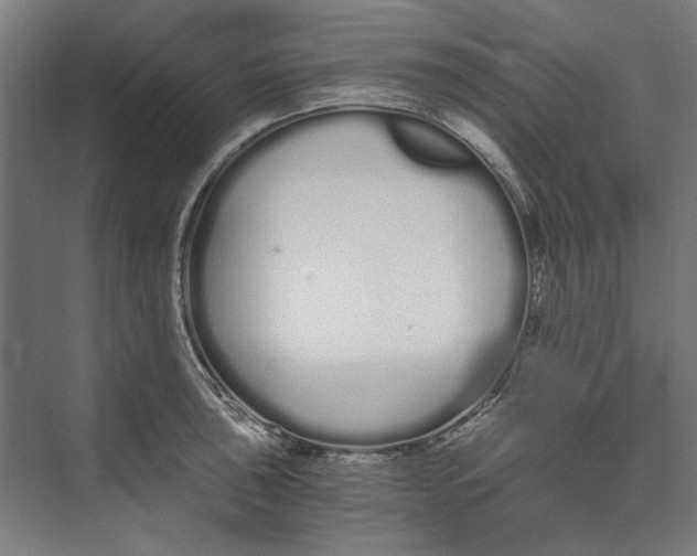 X0000073491043200608281610
