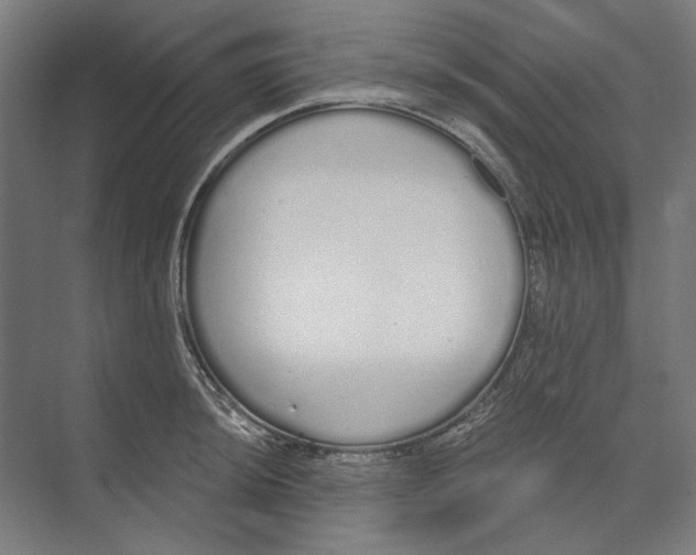 X0000073491044200608281610