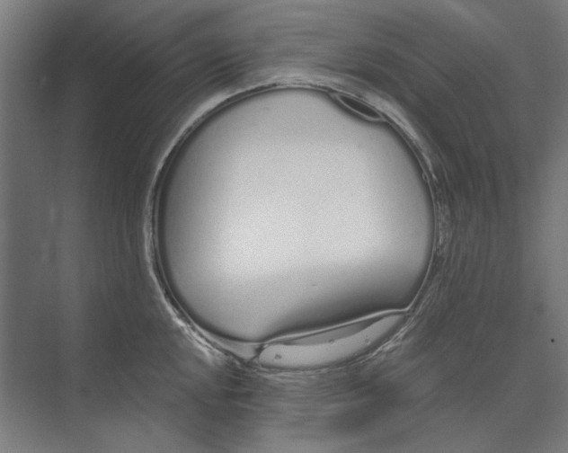 X0000073491048200608281610
